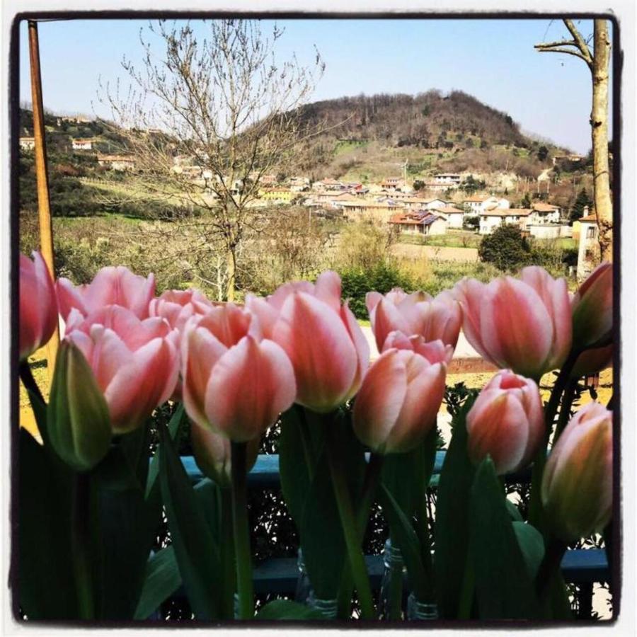 Belvedere Resort Ai Colli Galzignano Terme Kültér fotó